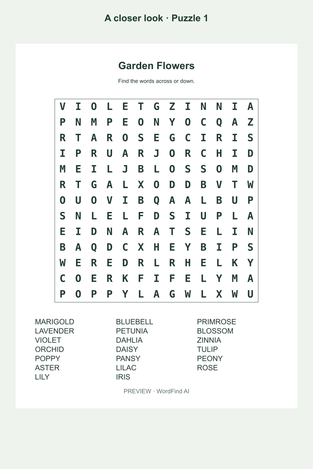 Puzzle preview from Large Print Word Search for Seniors – 50 Puzzles