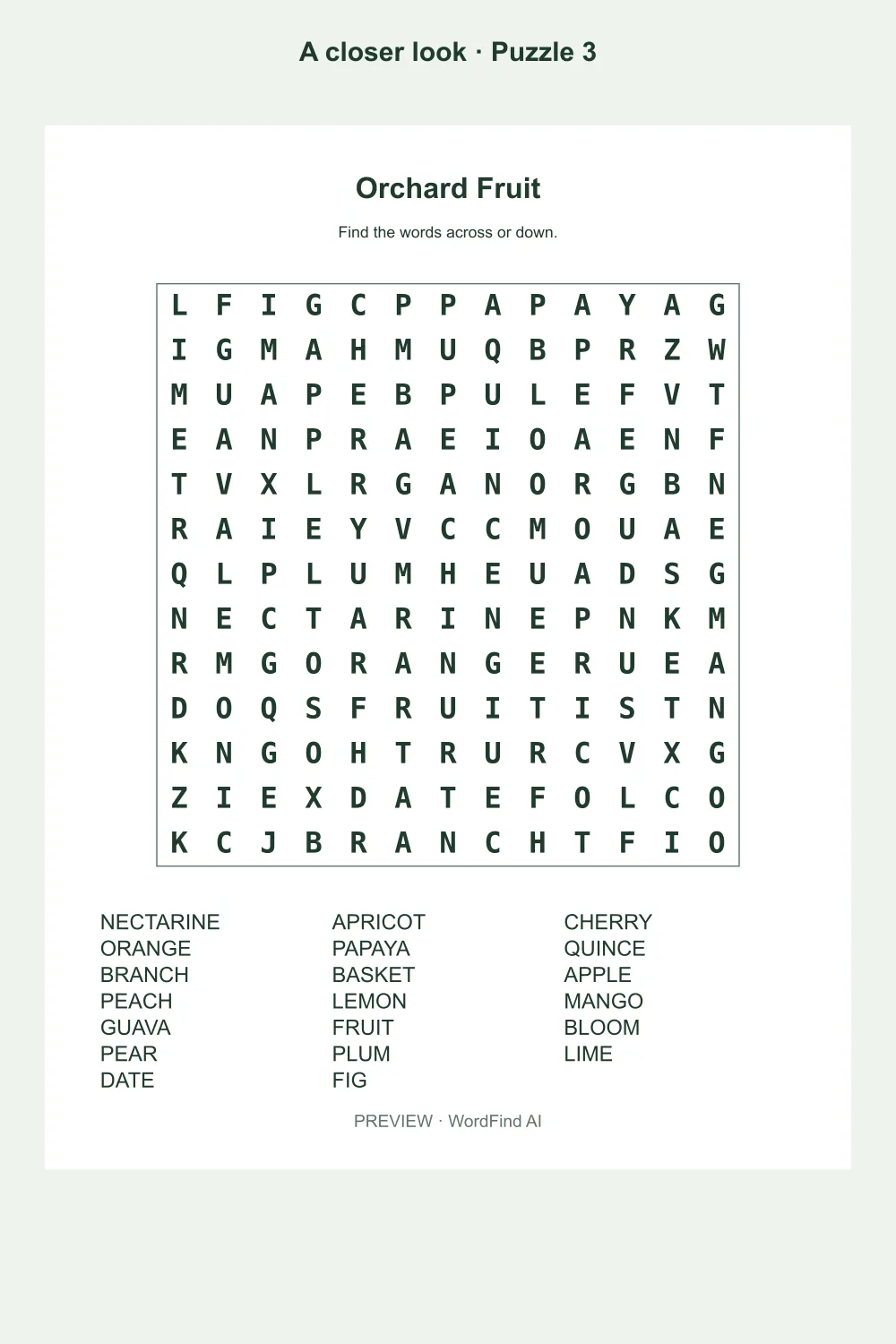 Puzzle 3 preview from Large Print Word Search for Seniors โ 50 Puzzles